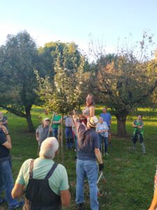 Nachernteschnittkurs am 19.09.2025